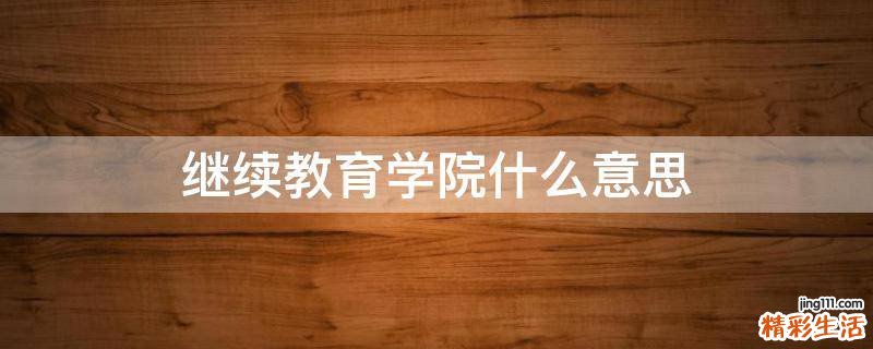 继续教育学院什么意思