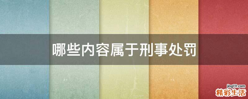哪些内容属于刑事处罚