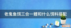 老鬼鱼饵三合一鲤和什么饵料搭配