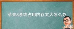 苹果8系统占用内存太大怎么办