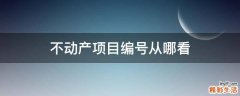 不动产项目编号从哪看