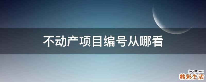 不动产项目编号从哪看