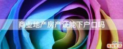 商业地产房产证能下户口吗