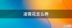 凌霄花怎么养