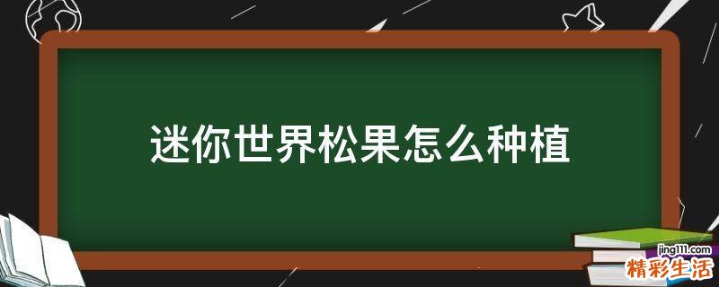 迷你世界松果怎么种植