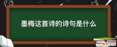 墨梅这首诗的诗句是什么