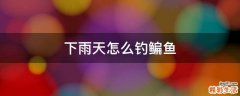 下雨天怎么钓鳊鱼