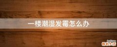 一楼潮湿发霉怎么办