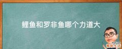 鲤鱼和罗非鱼哪个力道大