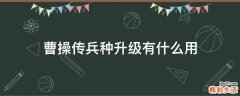 曹操传兵种升级有什么用