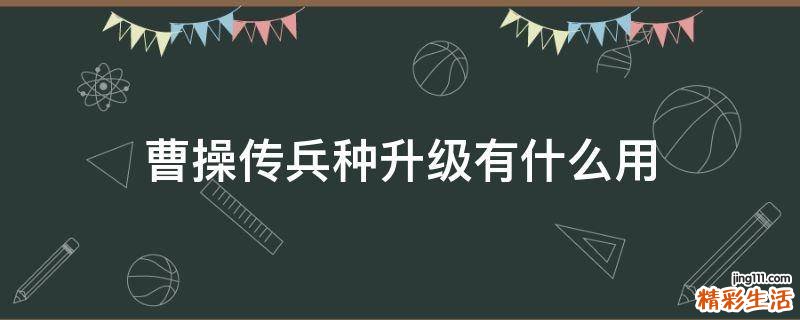 曹操传兵种升级有什么用
