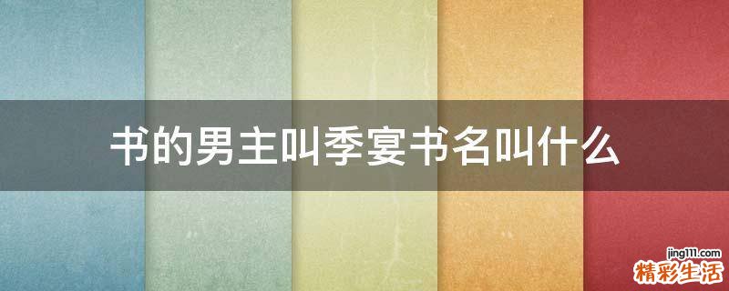 书的男主叫季宴书名叫什么