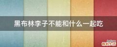 黑布林李子不能和什么一起吃