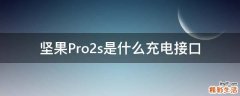 坚果Pro2s是什么充电接口