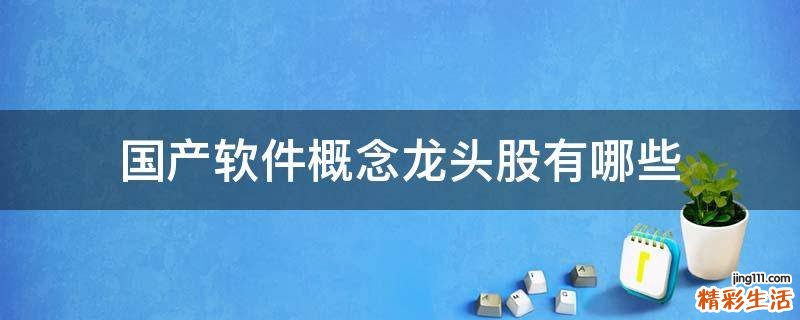 国产软件概念龙头股有哪些