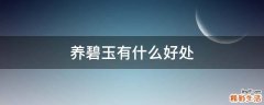 养碧玉有什么好处