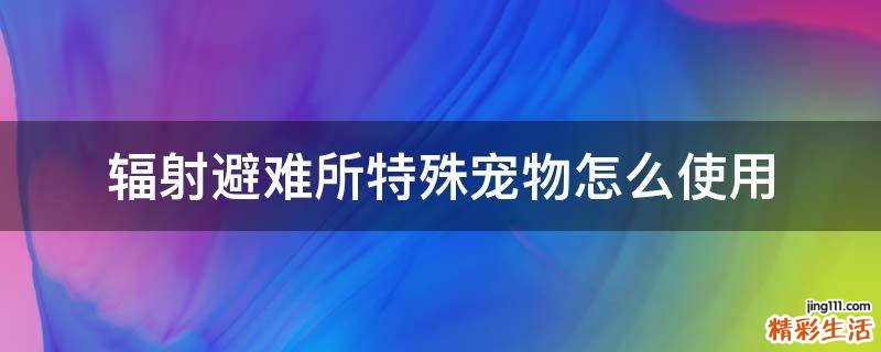 辐射避难所特殊宠物怎么使用