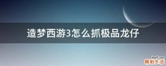 造梦西游3怎么抓极品龙仔