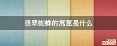 翡翠蜘蛛的寓意是什么