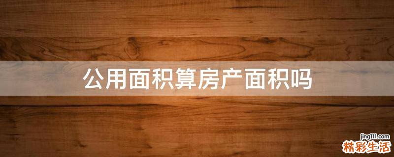 公用面积算房产面积吗