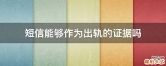 短信能够作为出轨的证据吗