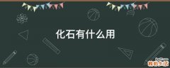 化石有什么用