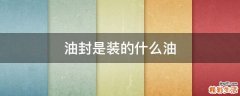 油封是装的什么油