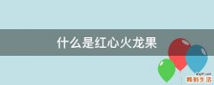 什么是红心火龙果