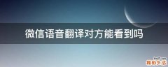 微信语音翻译对方能看到吗