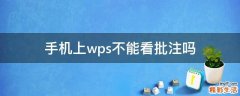 手机上wps不能看批注吗