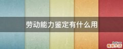 劳动能力鉴定有什么用