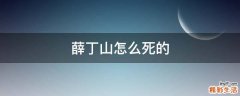 薛丁山怎么死的