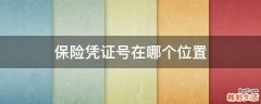 保险凭证号在哪个位置