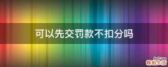 可以先交罚款不扣分吗