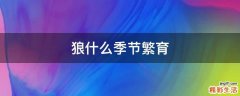 狼什么季节繁育