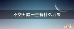 不交五险一金有什么后果