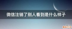微信注销了别人看到是什么样子