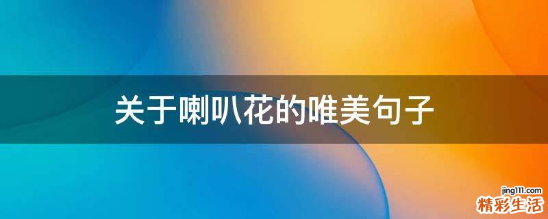 关于喇叭花的唯美句子