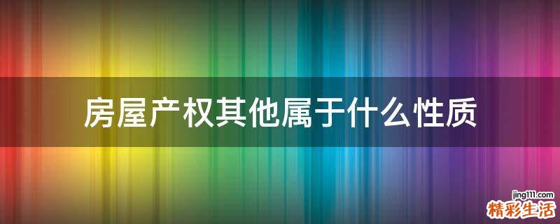 房屋产权其他属于什么性质