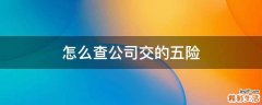 怎么查公司交的五险