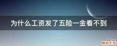 为什么工资发了五险一金看不到