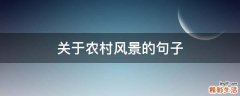 关于农村风景的句子