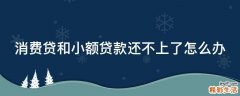 消费贷和小额贷款还不上了怎么办
