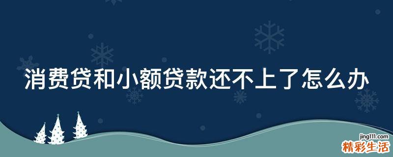 消费贷和小额贷款还不上了怎么办