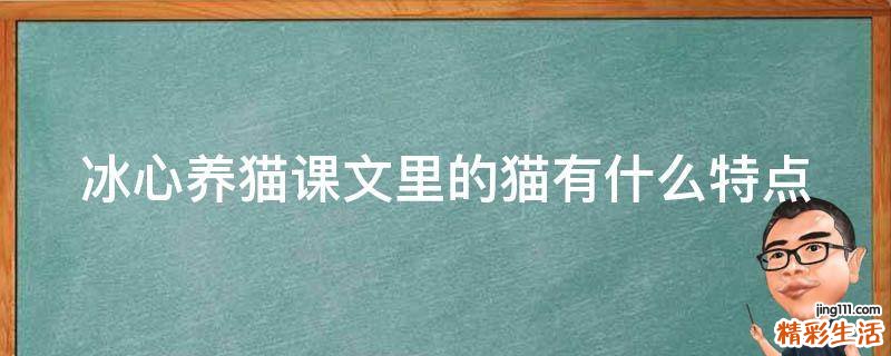 冰心养猫课文里的猫有什么特点