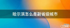 哈尔滨怎么是副省级城市