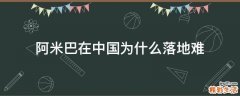 阿米巴在中国为什么落地难