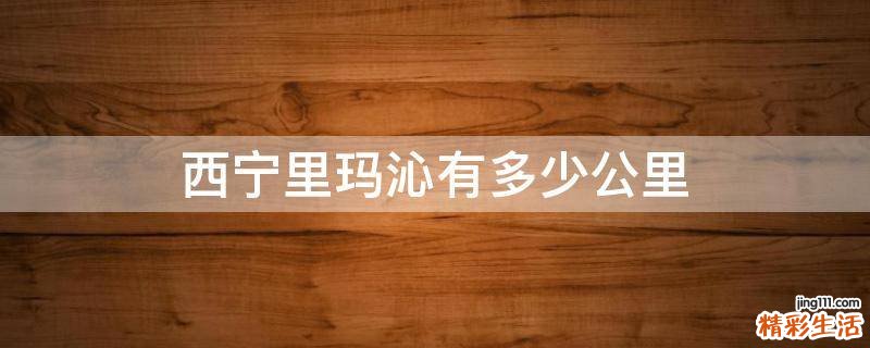 西宁里玛沁有多少公里