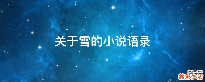 关于雪的小说语录