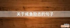 关于咸鱼励志的句子